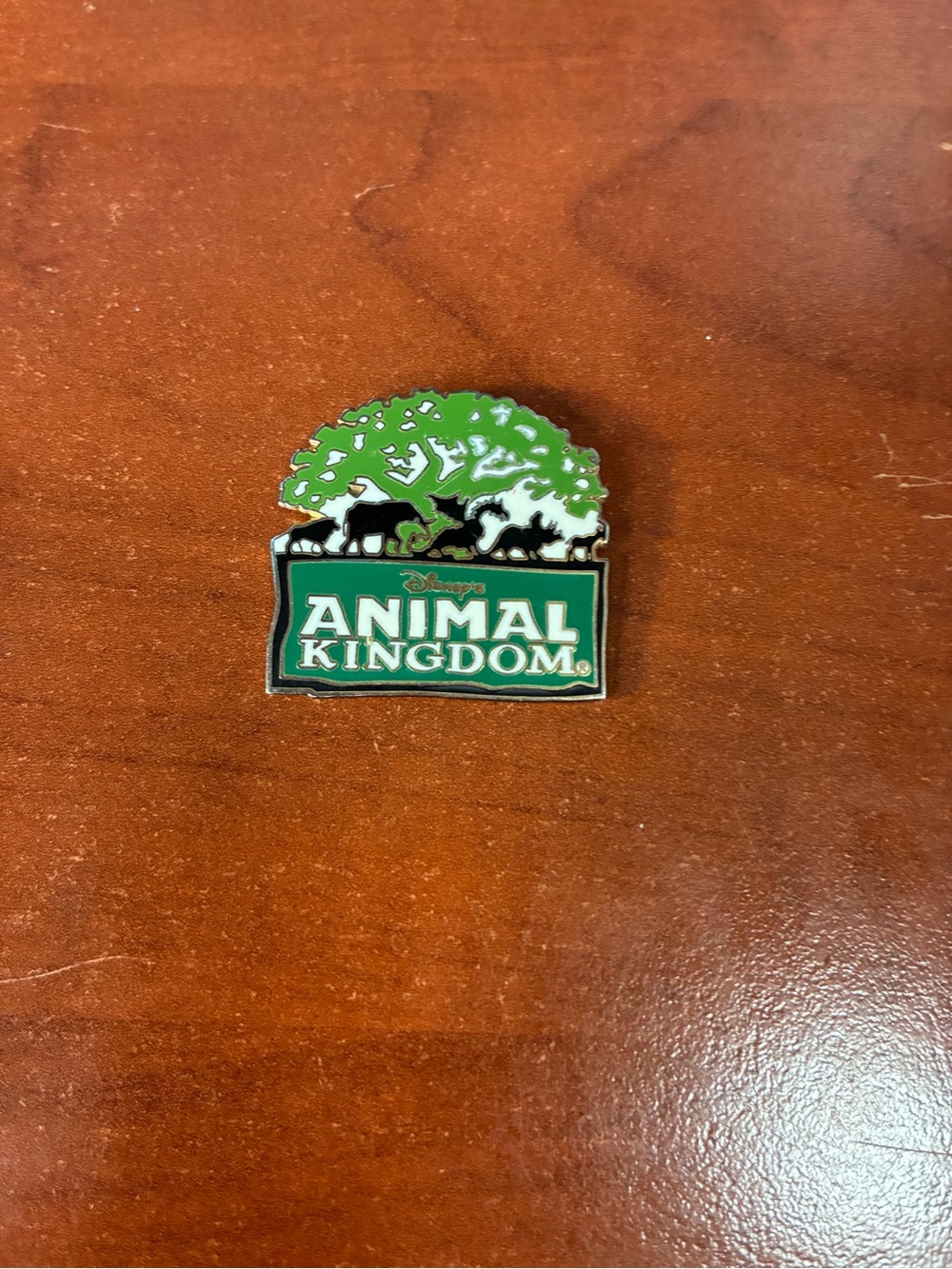 Disney Animal Kingdom Green and Black Enamel Park Pin